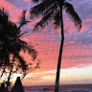 Meet your Posher, Aleisha